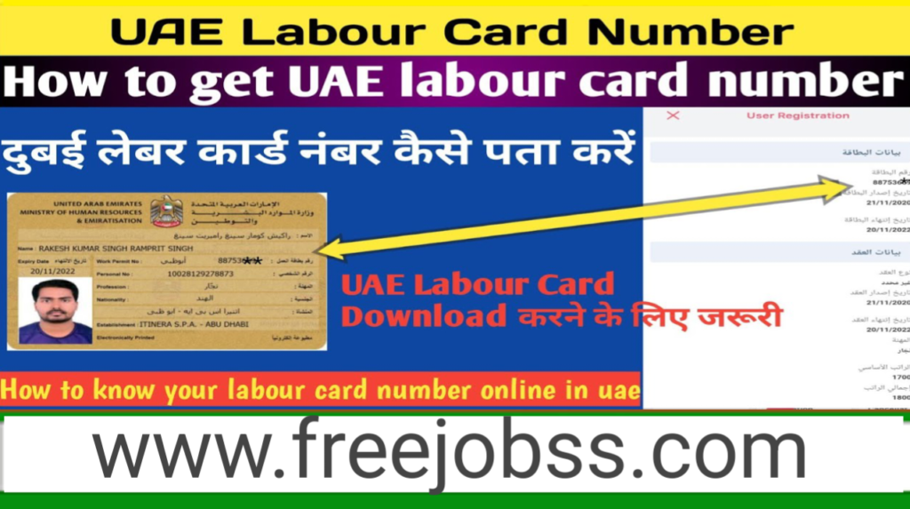 How to Check Your UAE Labour Card number 